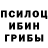 Галлюциногенные грибы Psilocybe MadWillyLove
