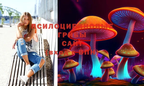 каннабис Баксан