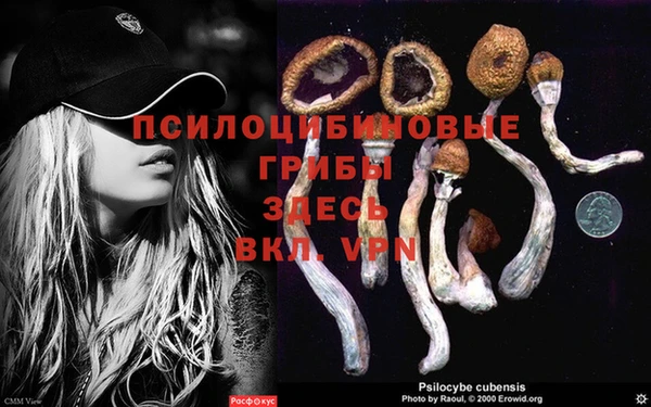 прущие крисы Арсеньев