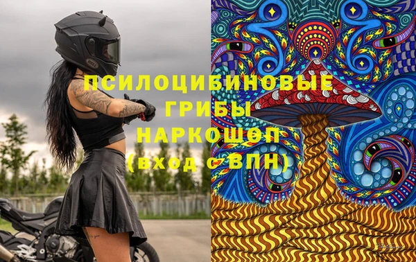 молекула духа Нязепетровск