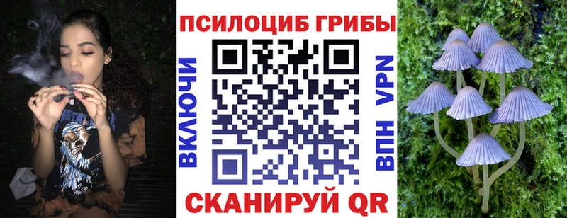 продажа наркотиков  Свирск  Галлюциногенные грибы MAGIC MUSHROOMS 